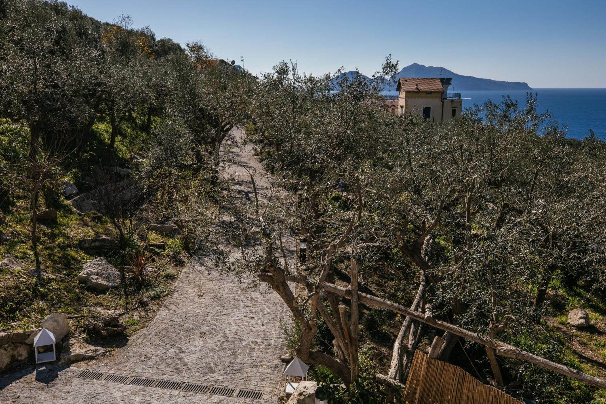 Hotel Melrose Relais Massa Lubrense Exterior foto